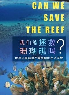 我们能拯救珊瑚礁吗(全集)