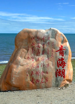 丝绸之路青海道(全集)
