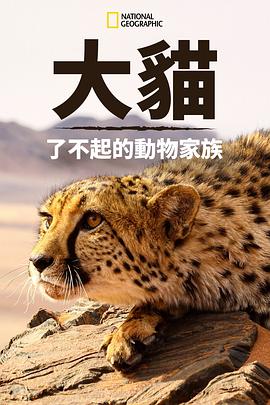 猫科动物：奇妙的动物家族(全集)