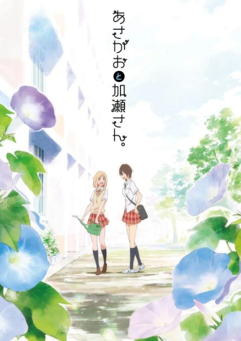 牵牛花与加濑同学(全集)