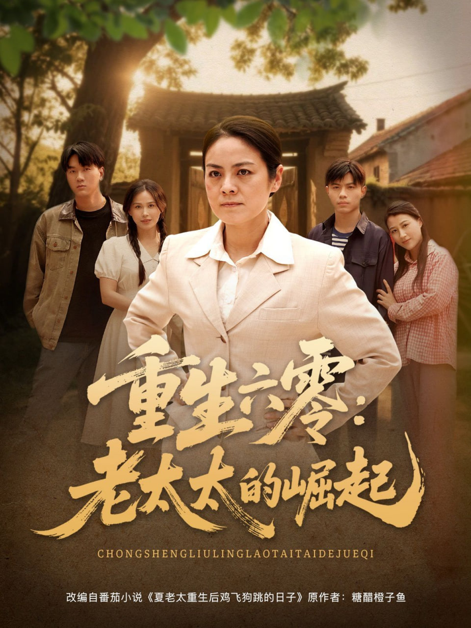 重生六零：老太太的崛起(全集)