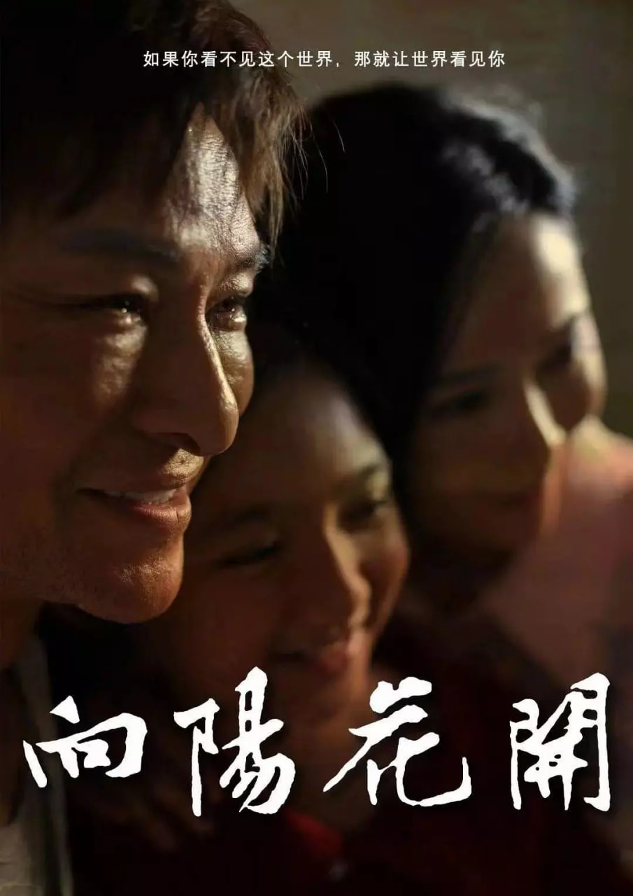 向阳花开 2024(全集)