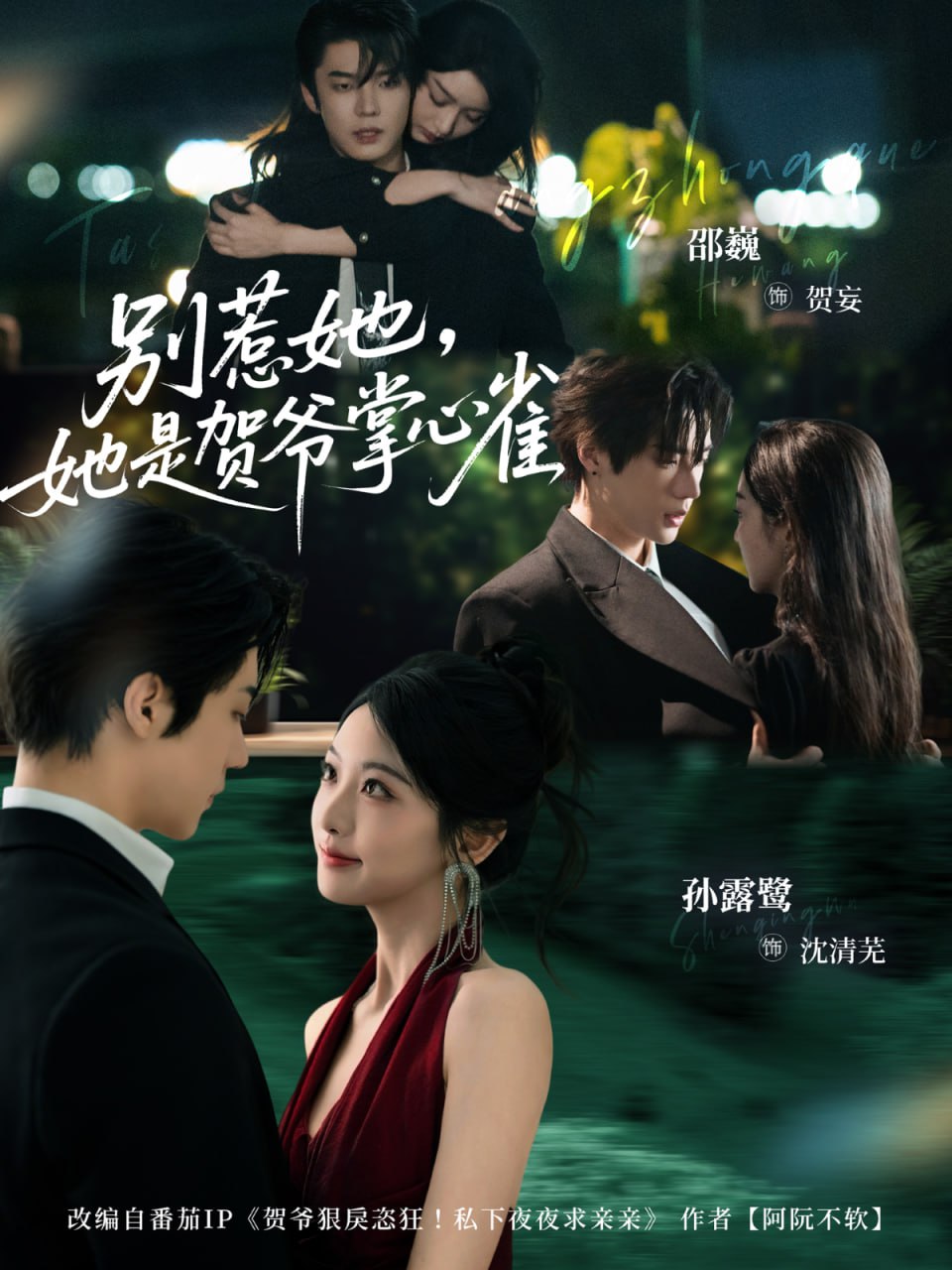 别惹她，她是贺爷掌心雀(全集)