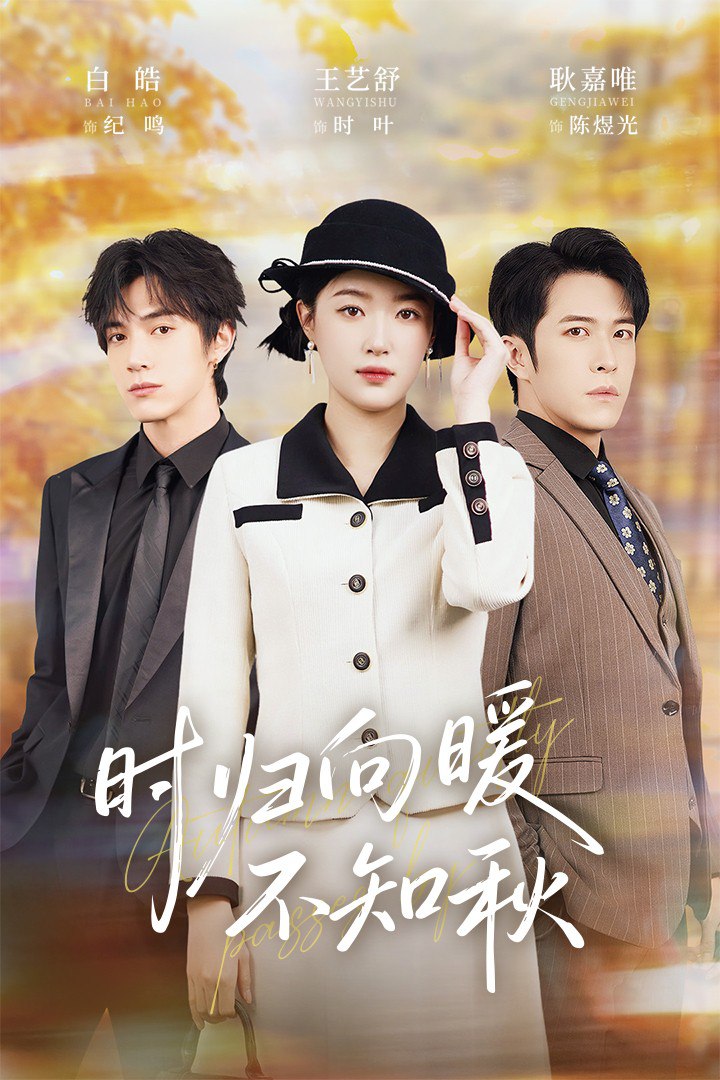 时归向暖不知秋（第二十八年冬）(全集)