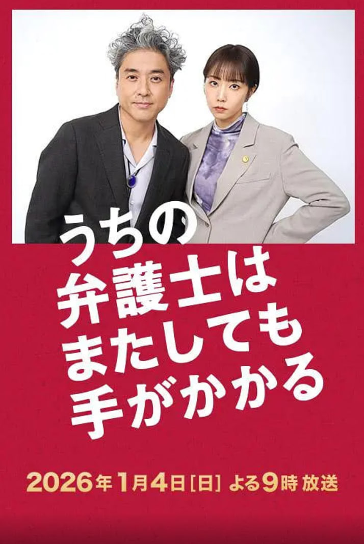 我家的律师又惹麻烦了(全集)