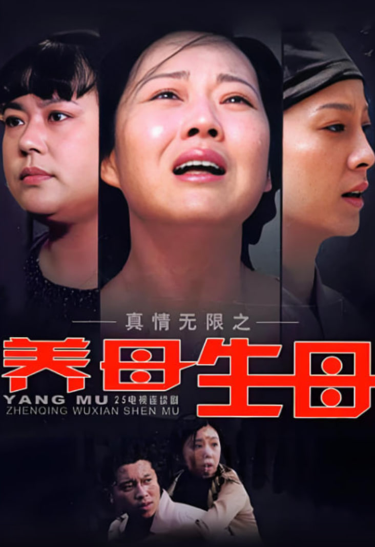 真情无限之养母生母(全集)