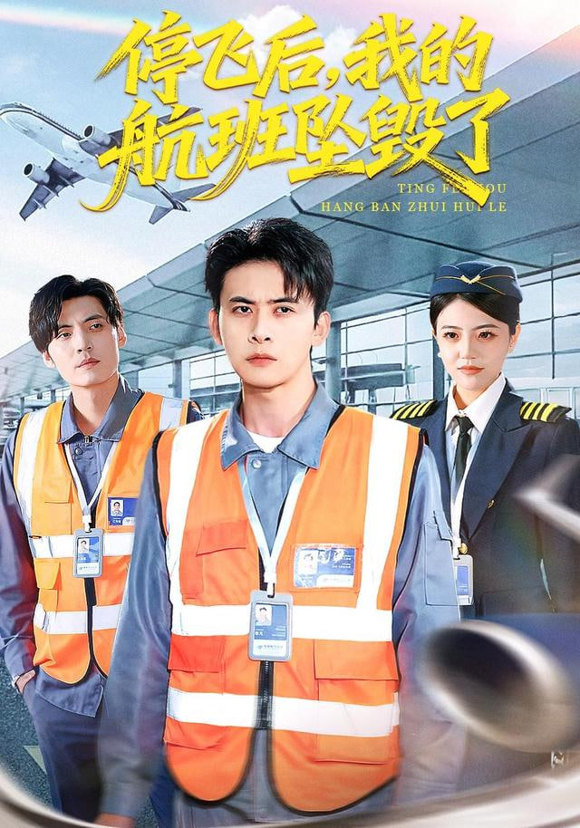 停飞后，我的航班坠毁了(全集)