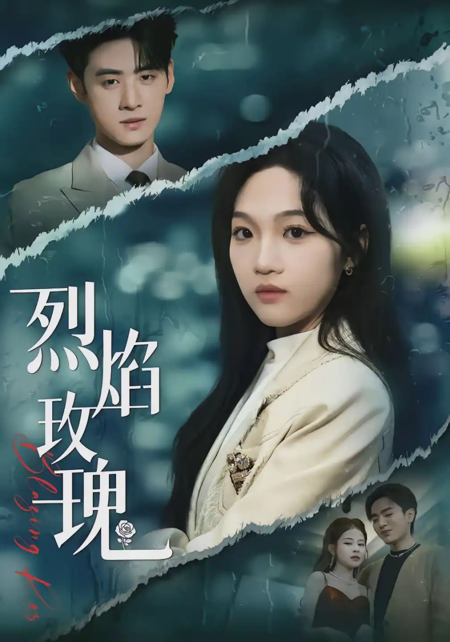 烈焰玫瑰(全集)